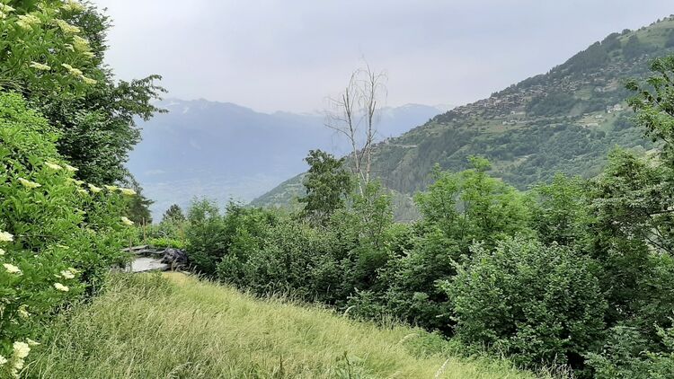 Bauland CH-1996 Saclentse (Nendaz)
