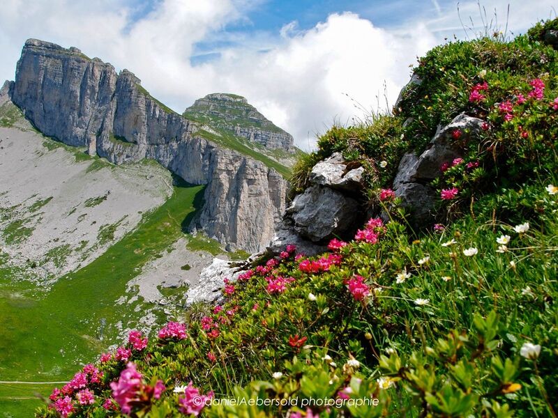 Leysin, holidays rental