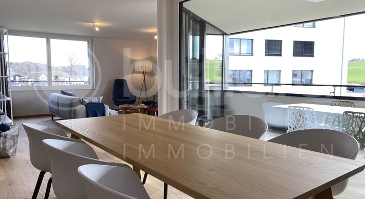 Appartements 4½ p neufs au Briegli Park Guin