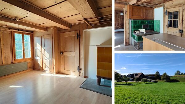 Bauernhaus wartet auf Ihre Ideen!