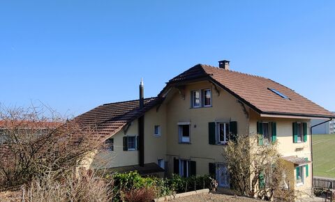 Liegenschaft mit Werkstatt + 2 Wohnungen (1 Whg als Büro geeignet)