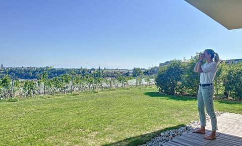 VOTRE JARDIN AU COEUR DES VIGNES