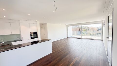 Exklusives 2.5-Zimmer-Penthouse im Attikageschoss – Erstbezug