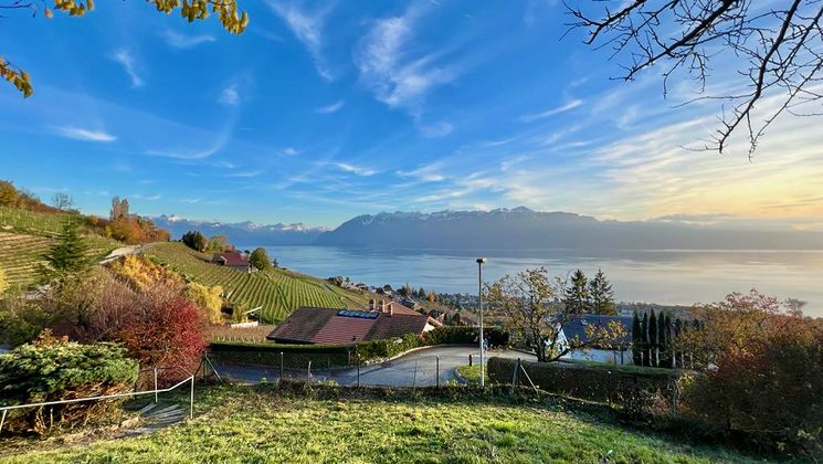 RARE: House to renovate on panoramic land in the heart of Lavaux