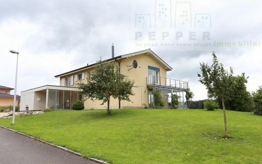 Pretty house located in plain nature in Beurnevésin.