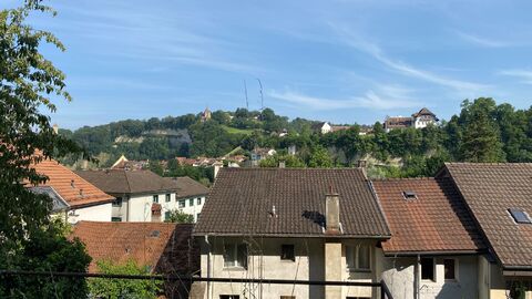 Immeuble avec grand jardin privatif en basse ville de Fribourg
