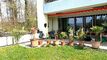 Condominium apartment CH-8903 Birmensdorf ZH