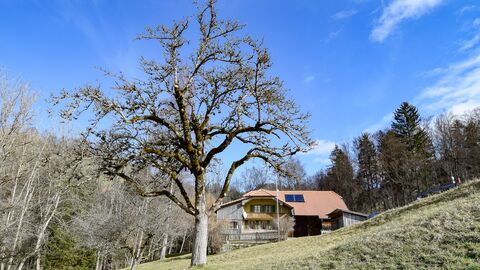 Single family house CH-3158 Guggisberg