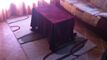 VENDULa Comballaz, juste avant Les Mosses : chalet familial avec grande parcelle