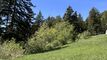 Panorama Nord-Ouest Jolie parcelle à bâtir
