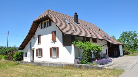 Umgebautes Bauernhaus mit zwei Wohnungen und grossem Garten