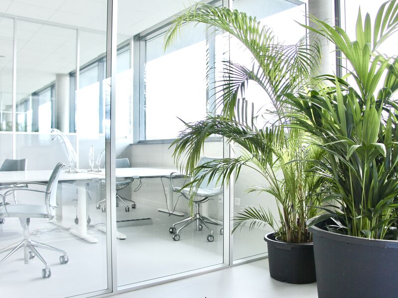 Two fully furnished and equipped offices of 50 m²