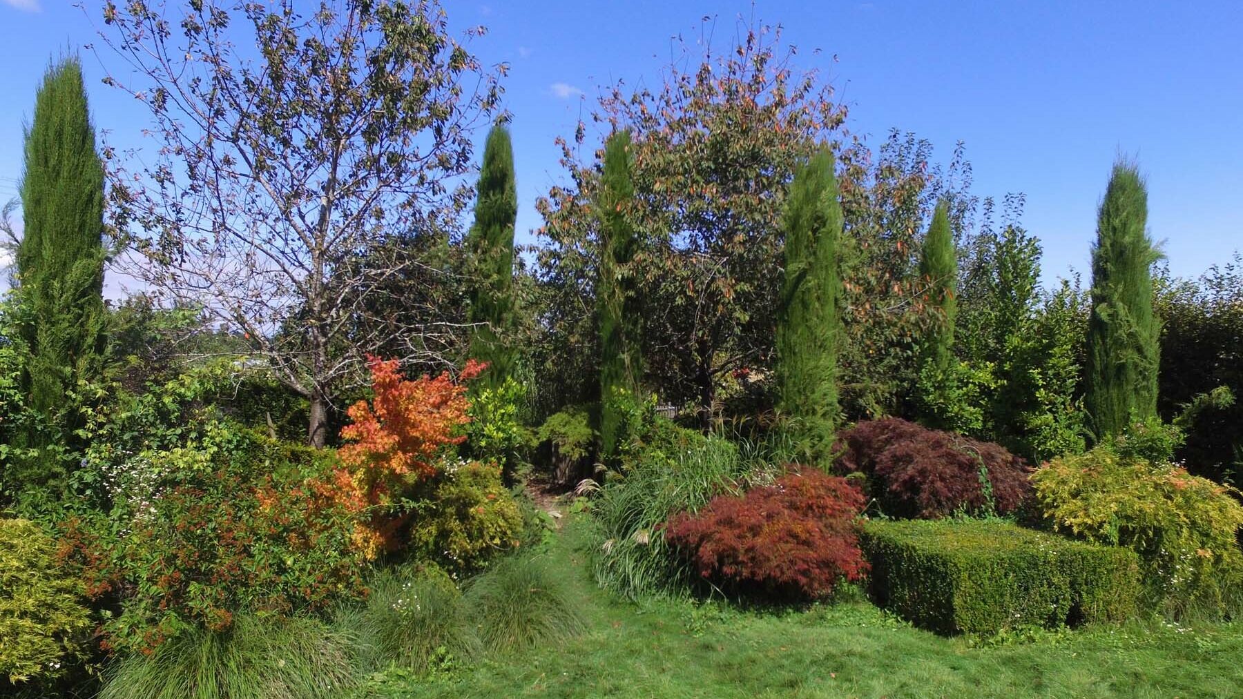Picture 18
