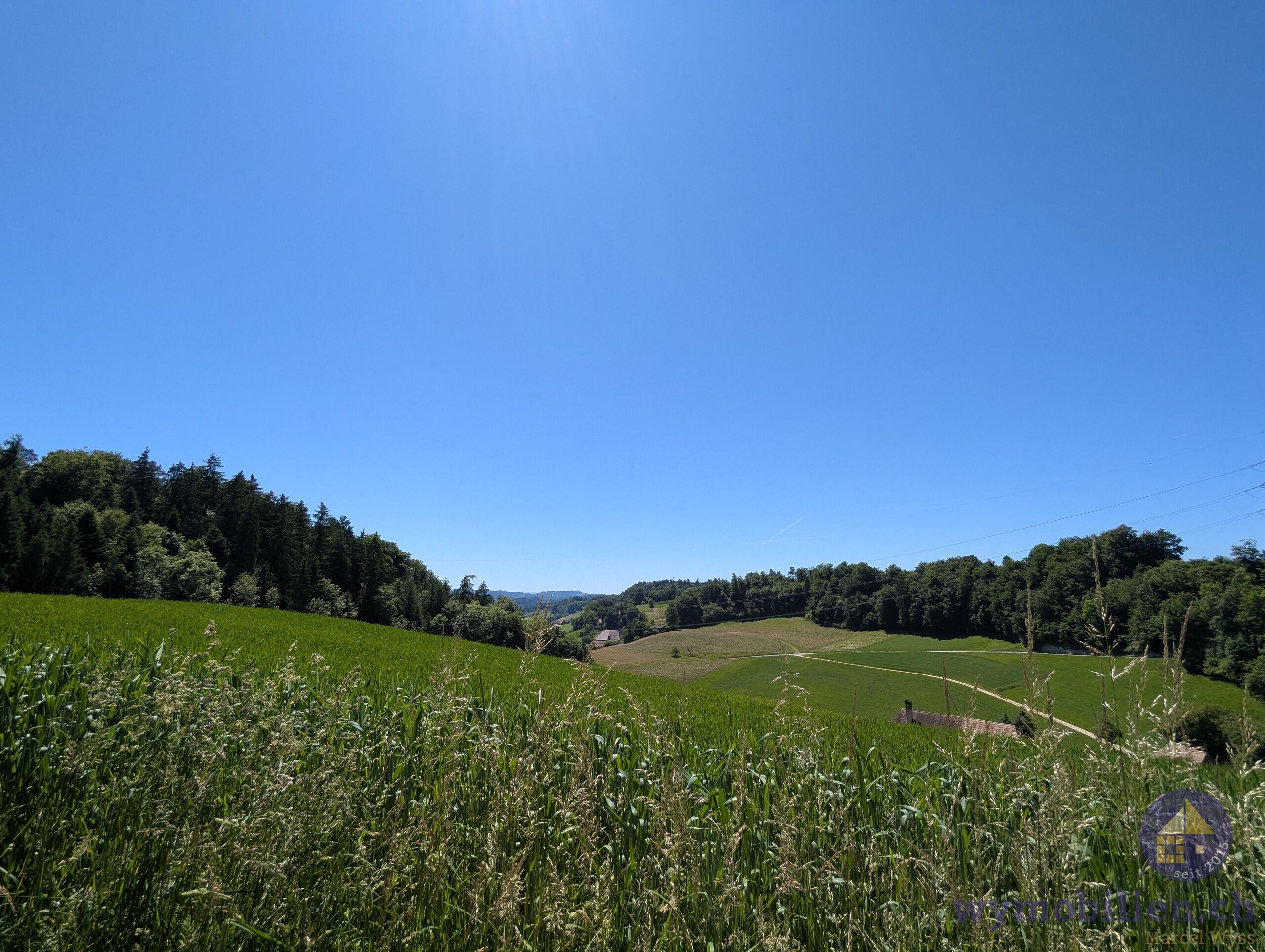 Freier Ausblick garantiert