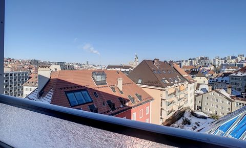 Appartement avec vue sur les toits de la ville...