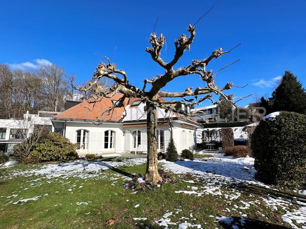 Bel appartement de 2½ pièces avec jardin et terrasse privatifs