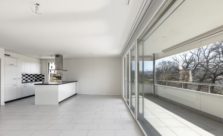 Bel appartement moderne avec terrasse et vue sur les Préalpes