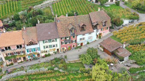 Paradis - lac de Bienne - vue sur le lac et le vignoble
