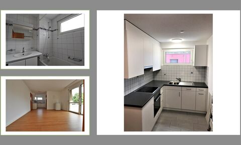 Praktisch - günstig - gut!