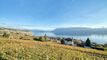 Duplex/two-level CH-1091 Grandvaux