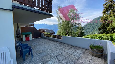 Appartement de 3.5 pces avec grande terrasse