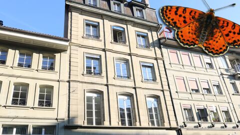 Wohnung CH-1700 Fribourg, Rue de Romont 17