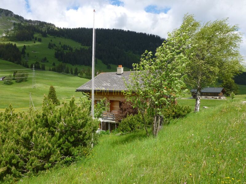 Cute chalet in Le Col des Mosses (8 rooms)