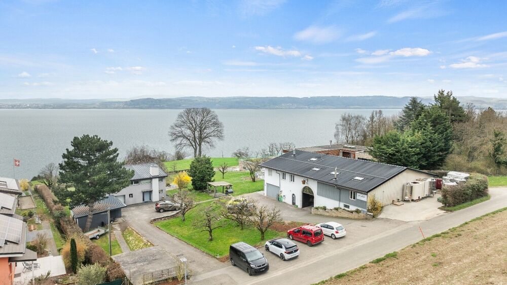 Renommiertes Weingut am Neuenburgersee