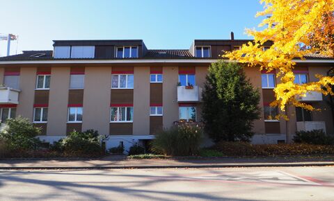 Studio spacieux et lumineux à louer