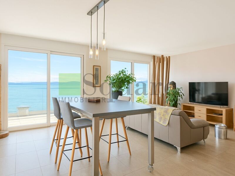 Appartement lumineux avec terrasse et vue spectaculaire sur le lac