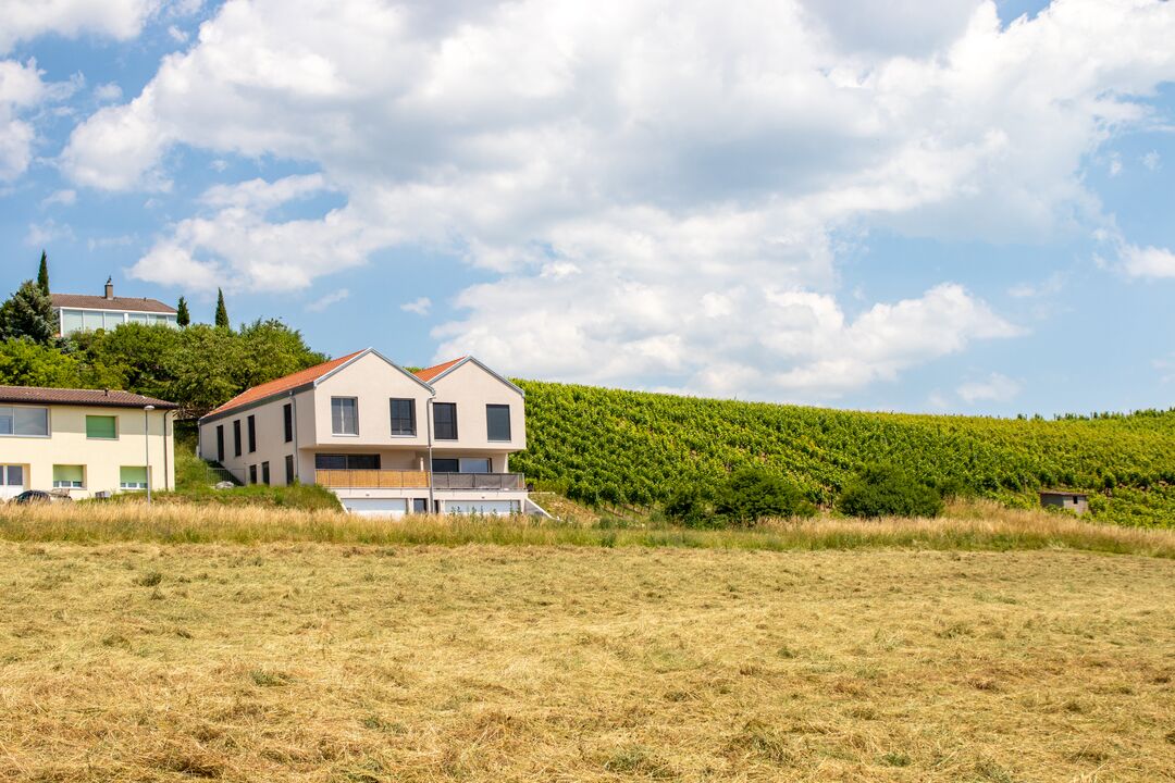 Projet immobilier à Valeyres avec 2 maisons construites, l'extérieur