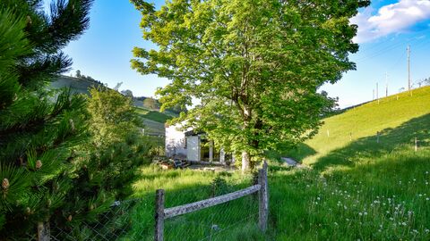 Ein Naturparadies mit Ferienhaus