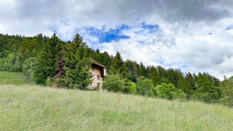 Enchanted little cottage with around 5 rooms