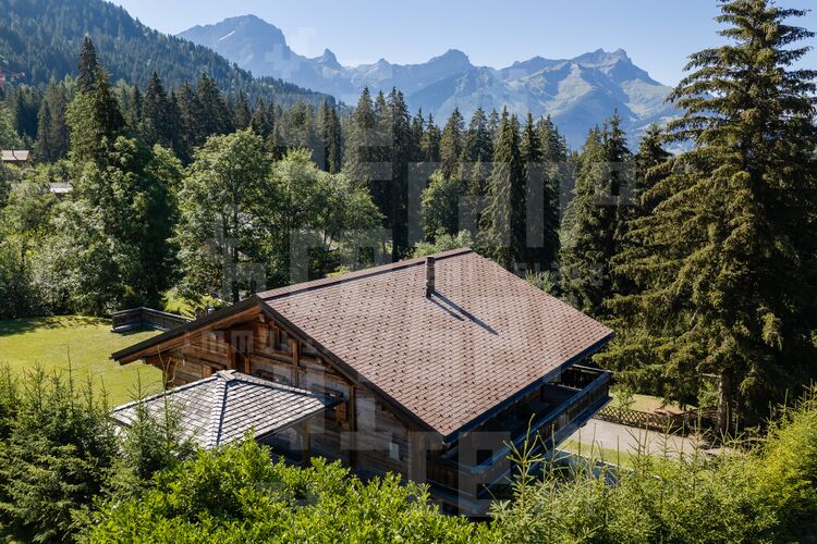 Image for Chalet Dionysia