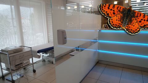 SURFACE COMMERCIALE DANS UN QUARTIER VIVANT !