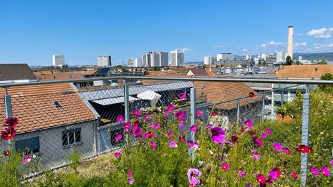 A light-filled home with a rooftop garden and stunning panoramic views