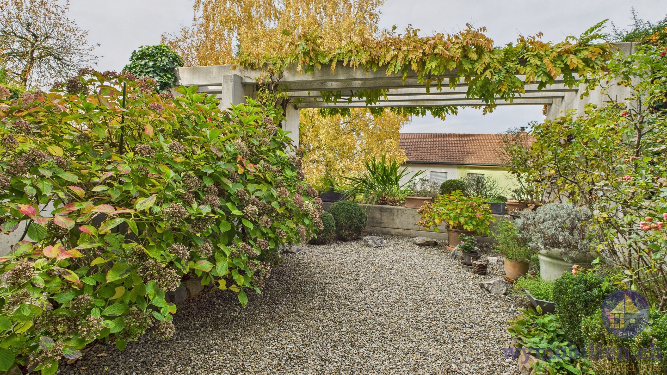 Vorplatz/Pergola beim Eingang