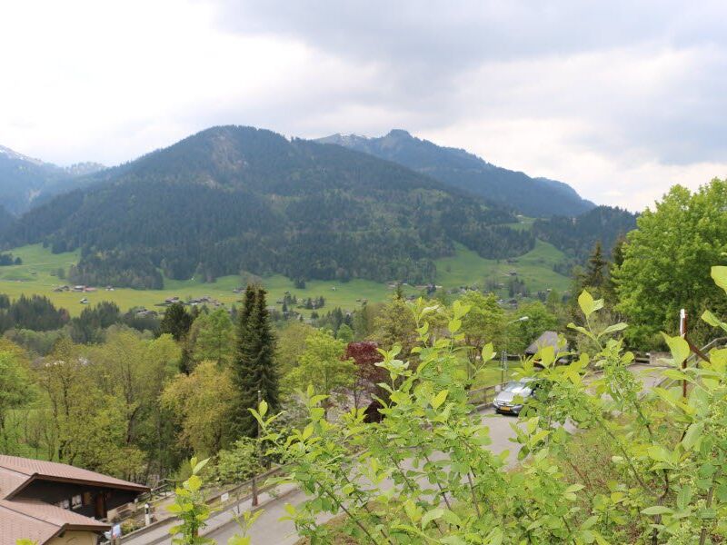 Apartment CH-1865 Les Diablerets, Les Diablerets