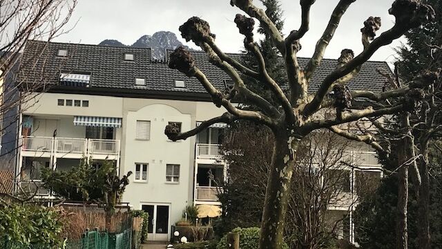 Yessss !!! Il y a enfin un appartement 4 1/2 à Vouvry pour 400'000.-