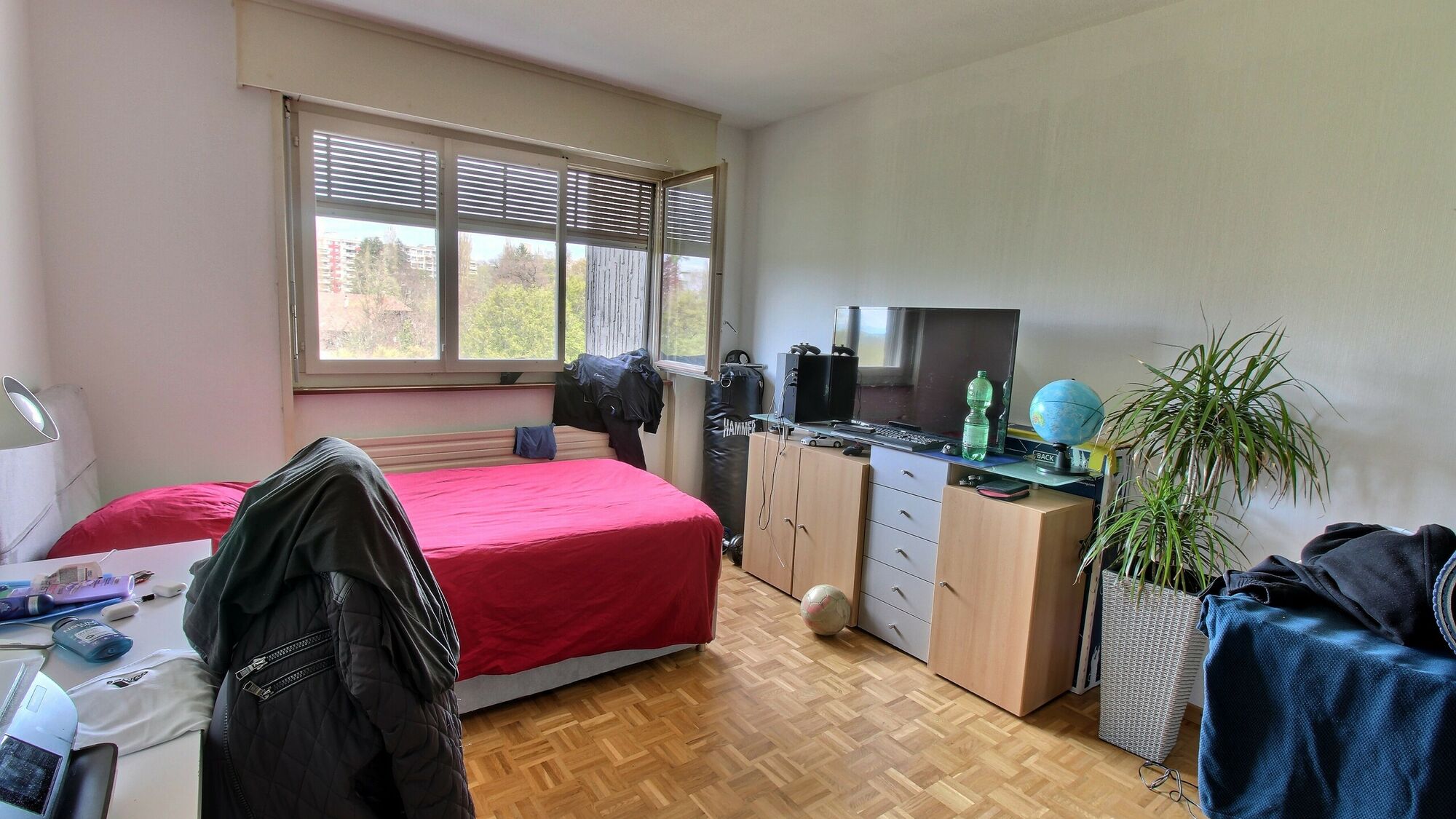 Photo 6