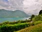 Apartment with Garden and Lugano Lake View in Castagnola
