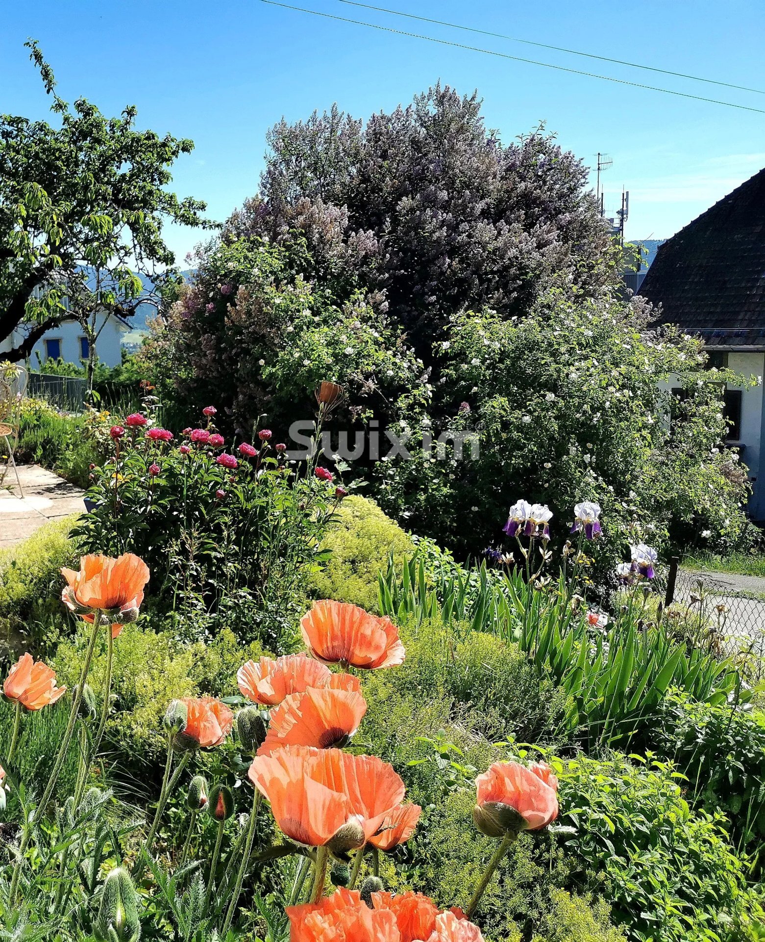 Photo 6