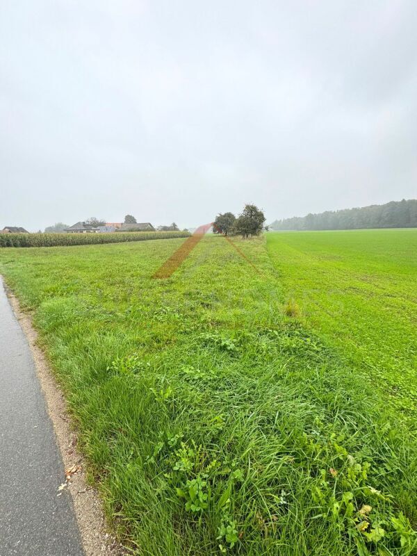 Grundstück / Umgebung ? Terrain / environnement