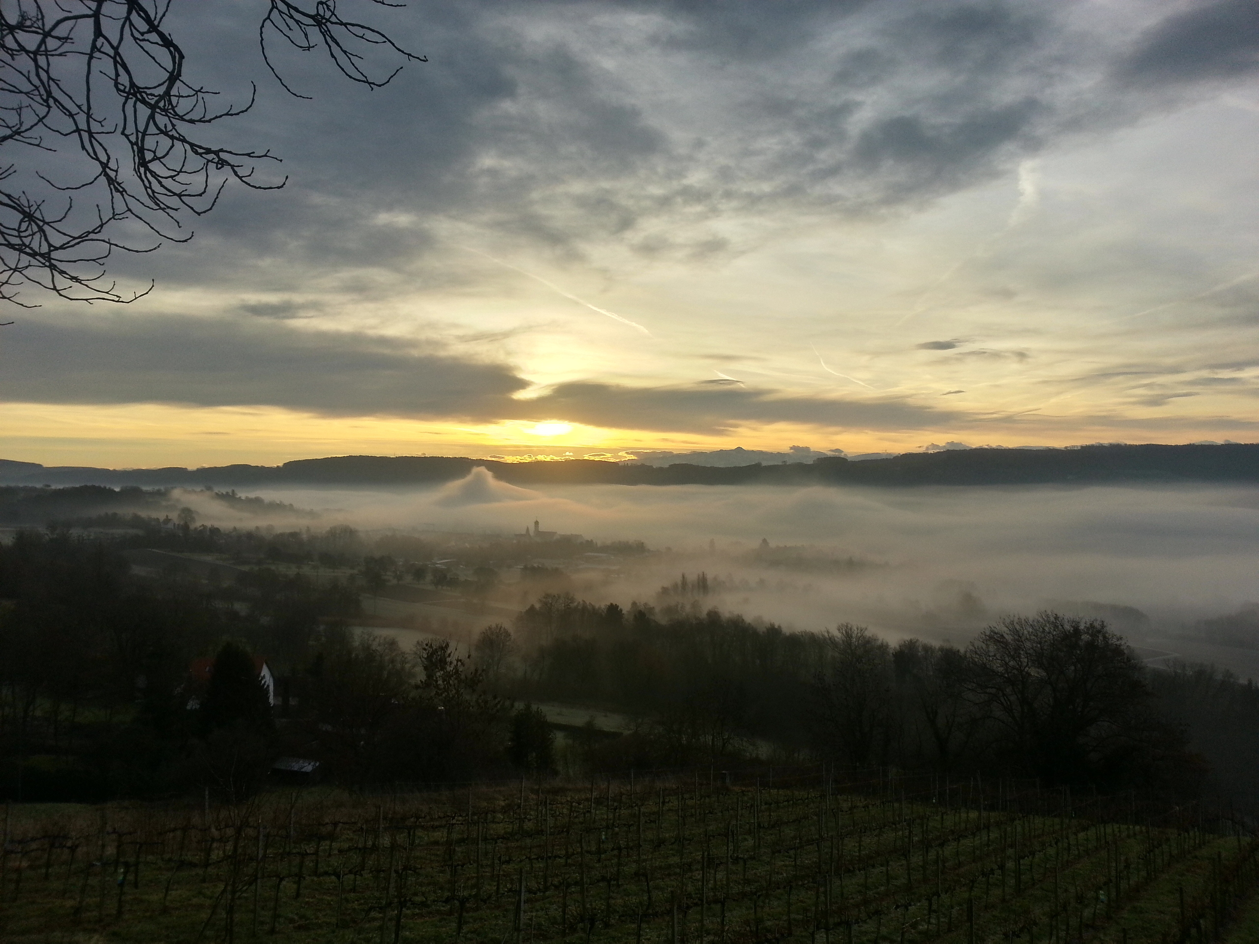 Eine Magie, welcher niemand wiederstehen kann. Eine Magie, welcher niemand wiederstehen kann.