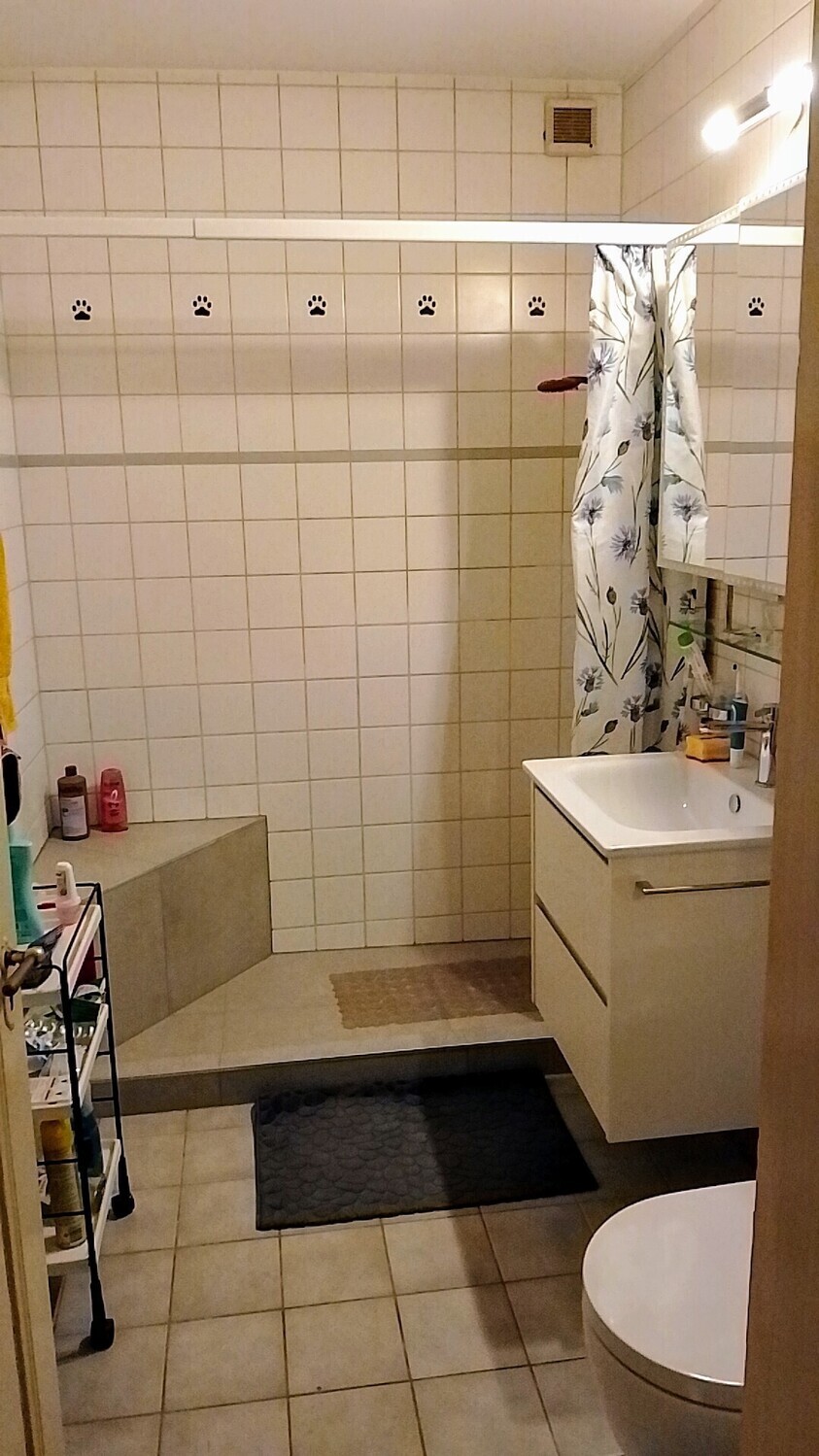 Picture 5