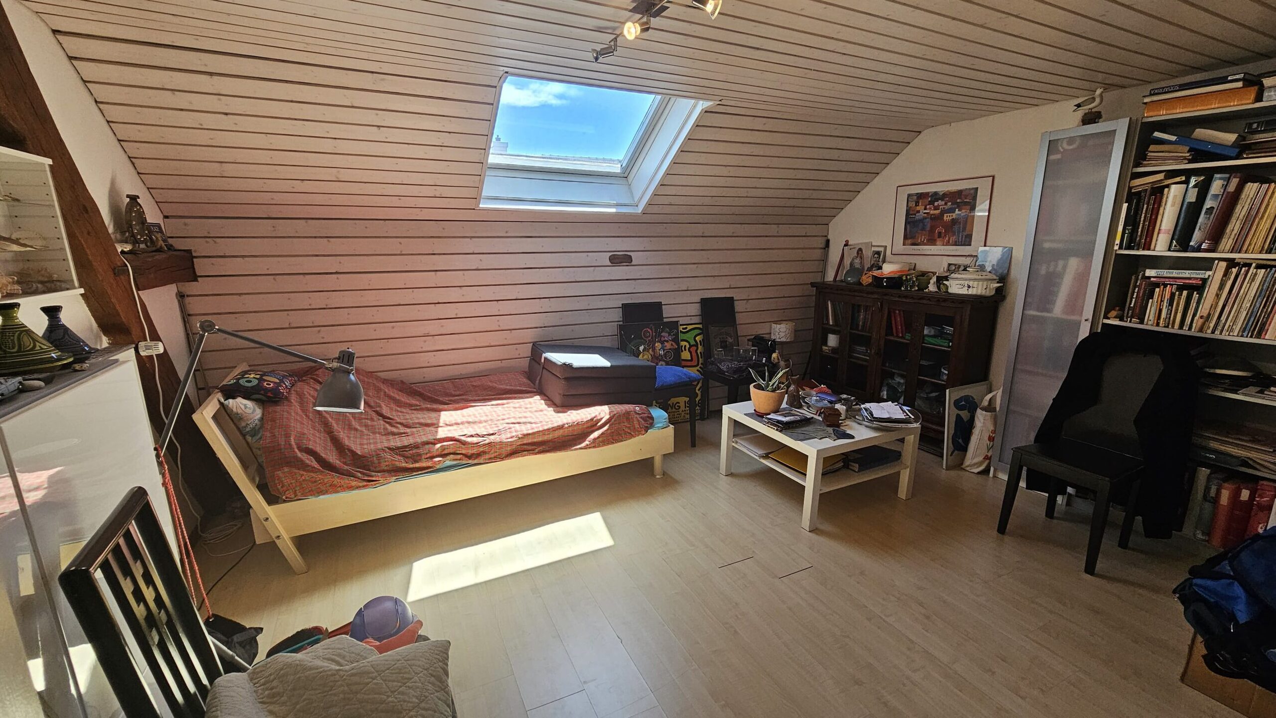 Foto 7