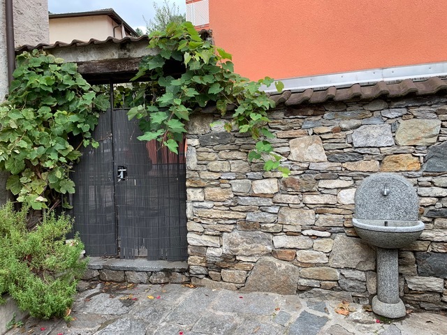 Foto 10