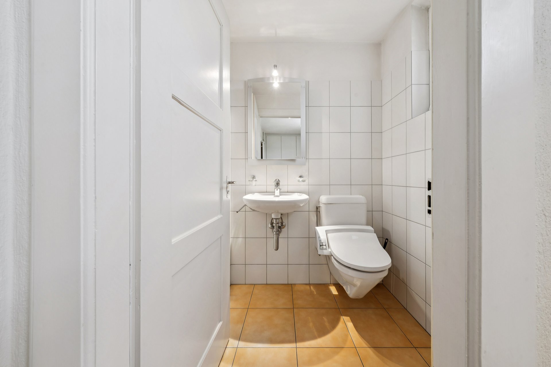Picture 12