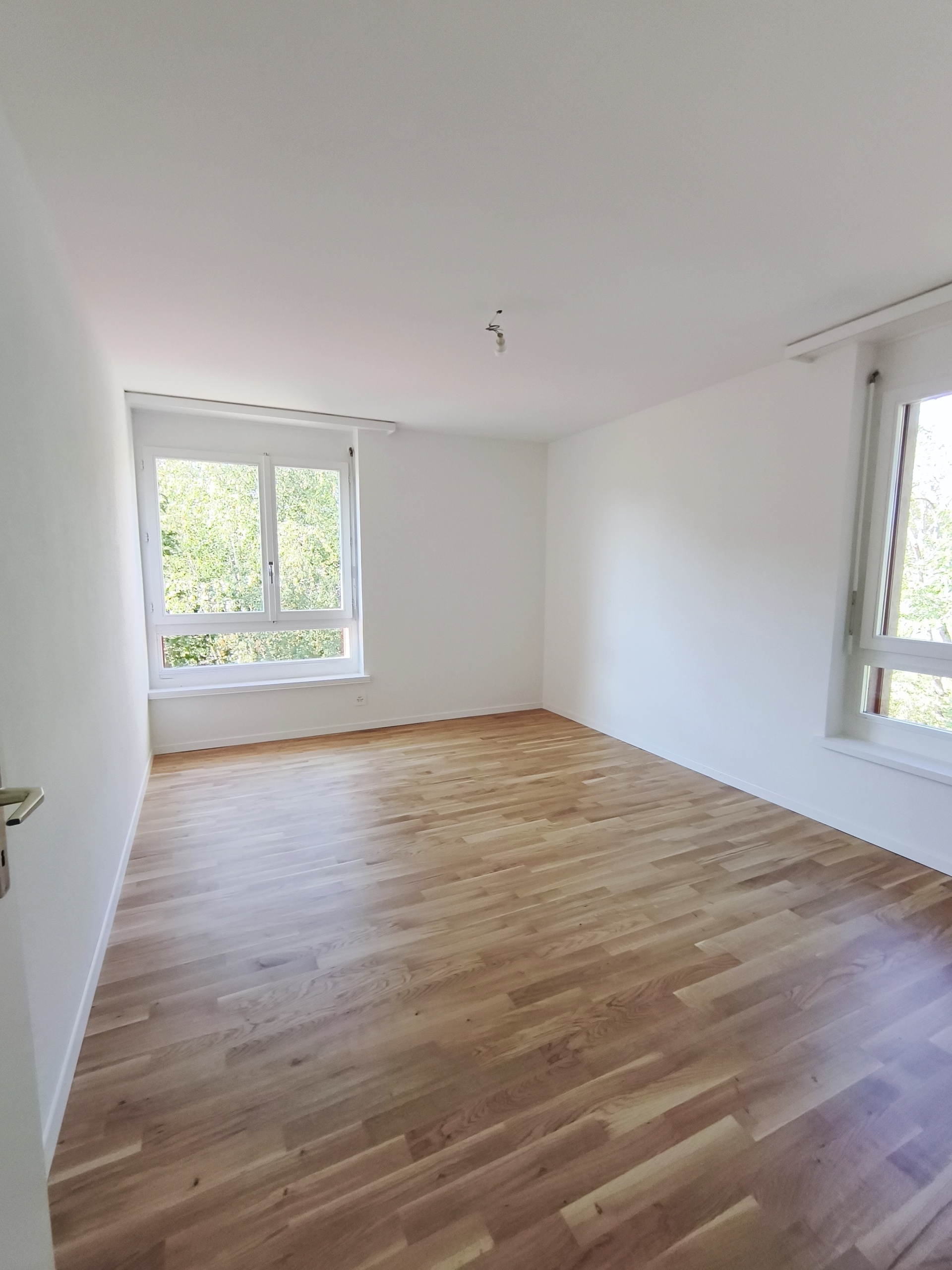 Interior view 4