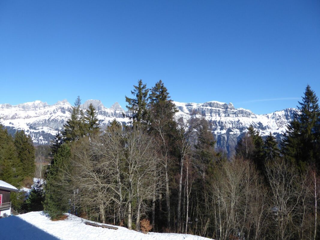 Premier coup d'oeil